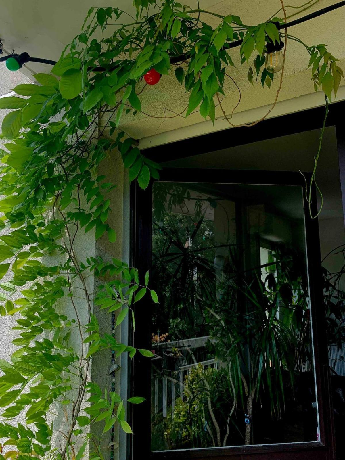 Apartment Beau 4 Pieces Dans Coin De Verdure